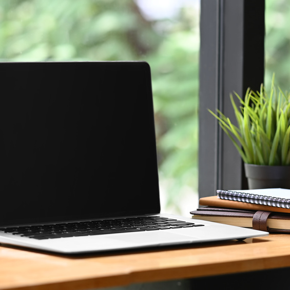 Budget online kursus - Kend Dine Penge